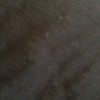 jessydale22